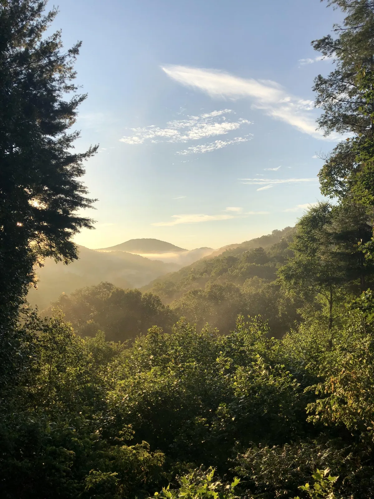 A sweeping vista of misty mountains and dense trees, evoking the sense of exploration and natural beauty that defines the area. The tranquil landscape invites activities like hiking, nature watching, and photography, connecting the property's location to expansive outdoor adventure.