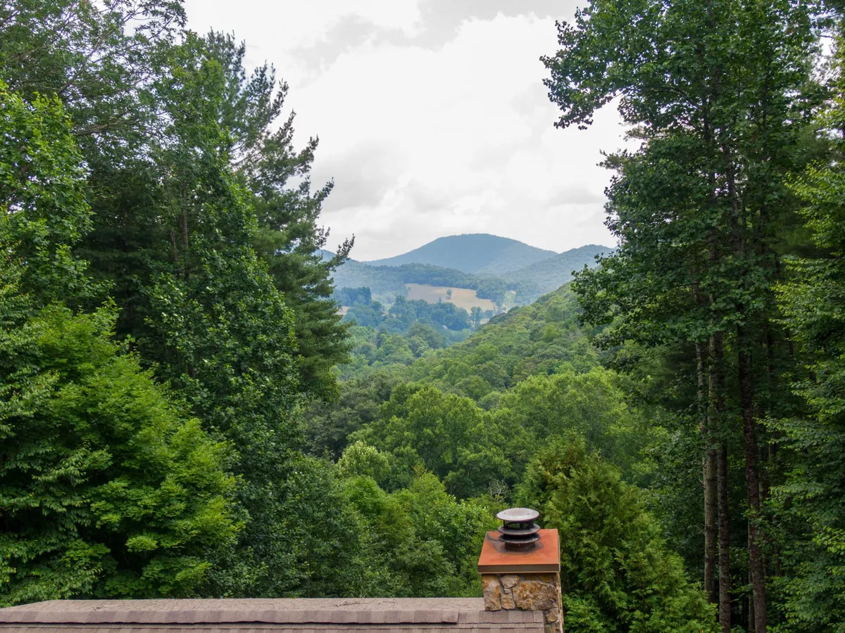 A wide, panoramic view of rolling hills covered in dense trees beneath an overcast sky, capturing the natural beauty and adventure opportunities of the surrounding area. The scene invites thoughts of hiking, photography, and wildlife watching—perfect for family outings.